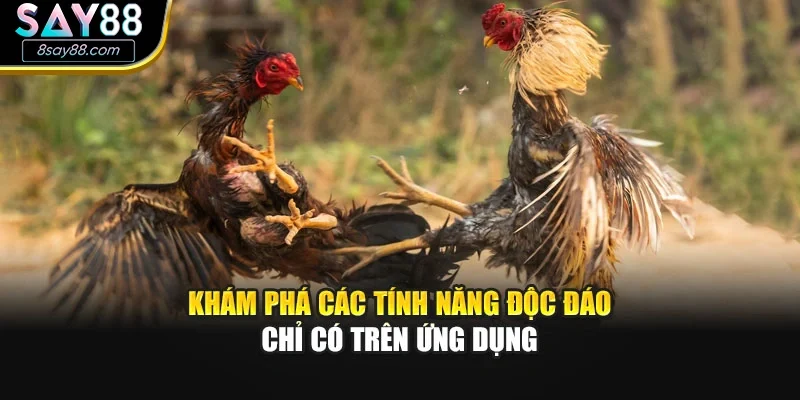 Khám phá các tính năng độc đáo chỉ có trên ứng dụng