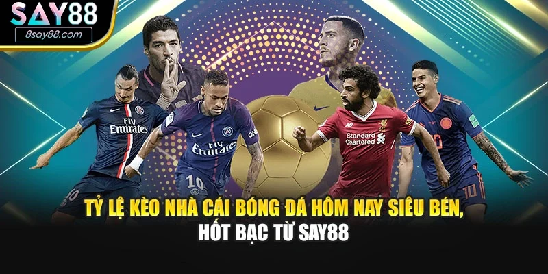 Tỷ Lệ Kèo Nhà Cái Bóng Đá Hôm Nay Siêu Bén, Hốt Bạc Từ Say88
